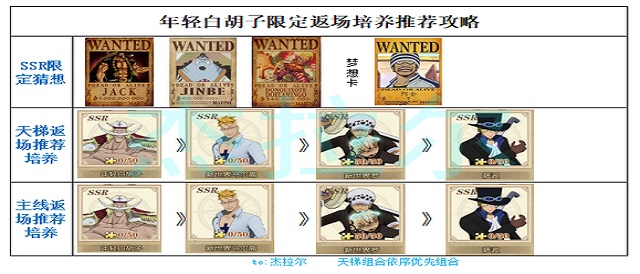 年轻白胡子返场限定培养攻略