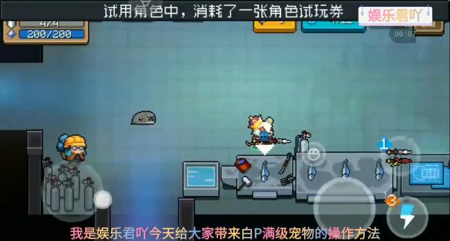 元气骑士白p满级宠物