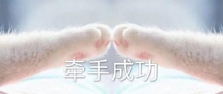 【天刀攻略】天涯明月刀手游 双人大轻功怎么获取？上天入地螺旋飞