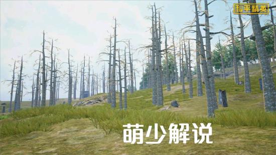 海岛更新丨一大波海岛2.0场景图爆料来袭！