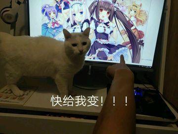 快给我变！近未来RPG手游《猫之城》5.28开测，哪种情绪让你畅快而战？