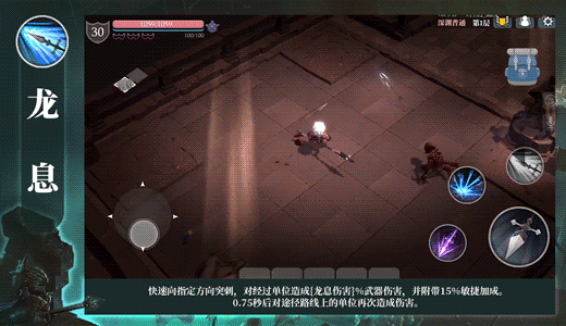 技能的详细资料