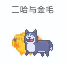 合体组合搭配以及合体的点评与介绍