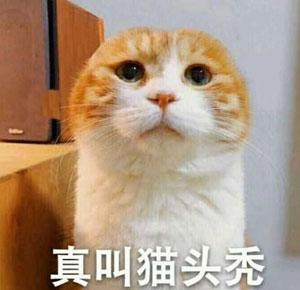 《影之刃3》评测：这味对了！淳、香、正！