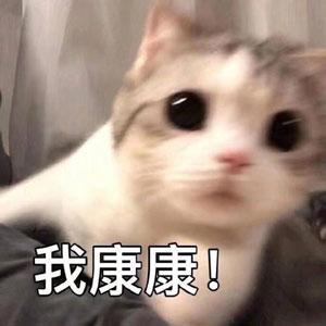 幻想风快节奏策略手游《梦境重塑》8月24日开启限量不计费删档测试