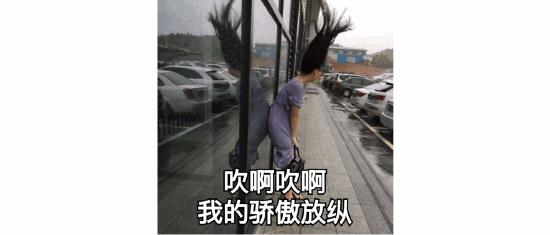 《哈利·波特与魔法石》票房破10亿美元！主题乐园也安排上了