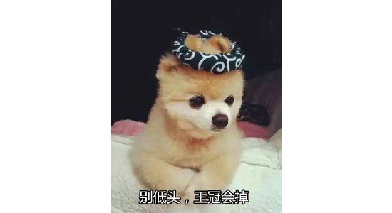 《终末阵线：伊诺贝塔》9月2日将开测！爽快到尖叫的少女机甲弹幕手游