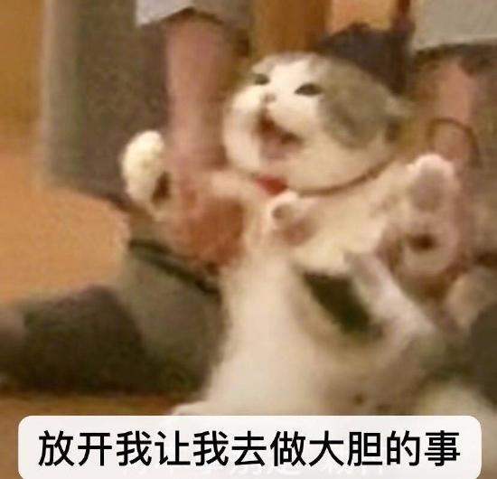《网吧模拟器》9月26日开放试玩：带你体验网吧老板的”神仙“生活！