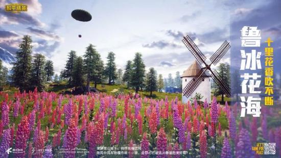 【新地图攻略】上王牌速度飞快！山谷地图特肥资源区大公开！