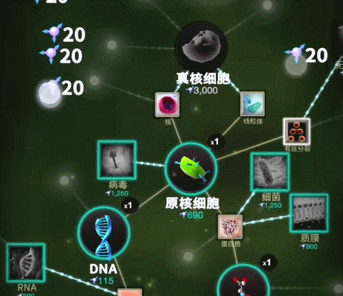 《从细胞到奇点》鉴赏：从小小的氨基酸，到浩瀚无垠的宇宙