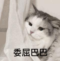 《垃 圾分类大作战》：魔性IO，狂吃拉圾！”请问你是什么拉圾？”