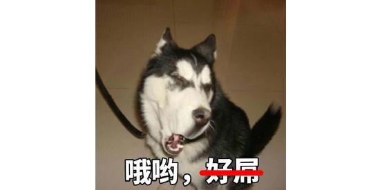《使命召唤》手游国服10.20测试一手评测！最顶尖的FPS手游之一