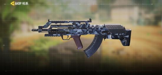 对新手来说，步枪Type 25、M16、AKBP有哪些优缺点？