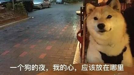 光棍节到了！单身狗的呐喊：《情侣是不可能在一起的》！