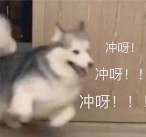 《神之猎场》：12月24日来一场人与神的非对称对决