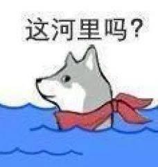 游戏未出，周边先行！CAPCOM发售《怪物猎人：崛起》怪物挂饰