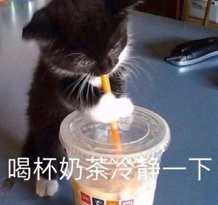 《桃源记》试玩：山中与世不相关，在避世之所体验鸡飞狗跳的田园生活！