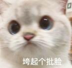 《桃源记》试玩：山中与世不相关，在避世之所体验鸡飞狗跳的田园生活！