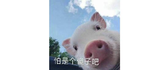 作者居然把自己的RPG游戏剧情砍掉了！就因为玩家提了建议