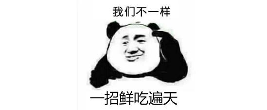 《魔法师大冒险》：开罗出品必属精品！这次居然不是模拟经营！