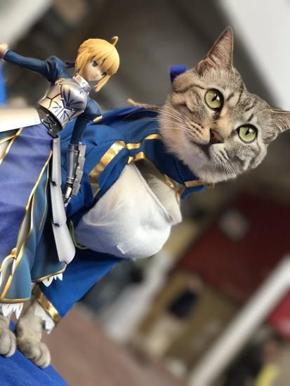 一波《鬼灭之刃》性感猫片，在线COS点击就看！