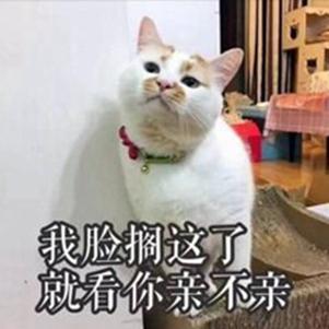 一波《鬼灭之刃》性感猫片，在线COS点击就看！