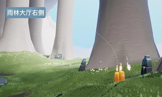 光遇1.23每日任务