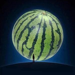 游戏安卓版来了！解压又上头《合成大西瓜》凭什么火爆出圈？