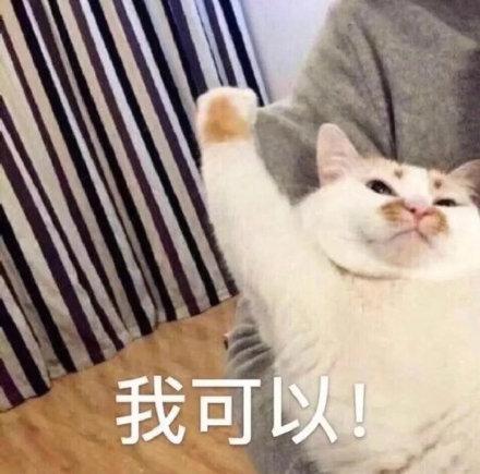 国风自由探索RPG《长安幻世绘》，寻访妖灵演大唐志怪之说