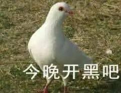 重生之我是异界魔法师？沉寂3年的《炼金与魔法》手游有望年底开测！