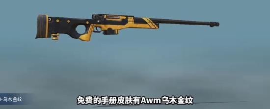 SS12赛季枪皮&下一次上线的大转盘