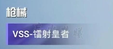 SS12赛季枪皮&下一次上线的大转盘