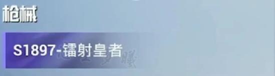 SS12赛季枪皮&下一次上线的大转盘