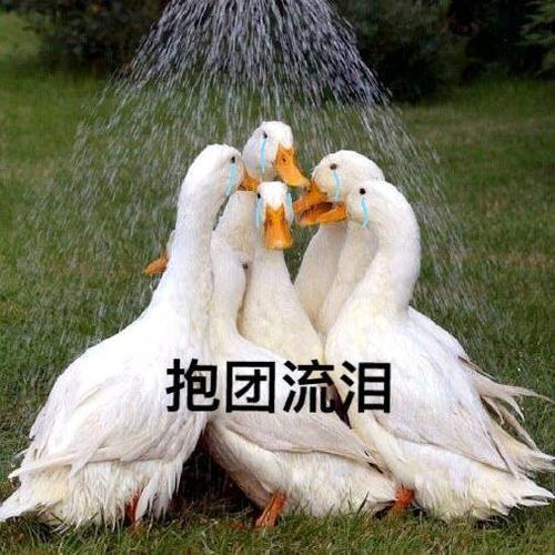 推荐3款难到哭泣的虐残手游，在《奇葩世界》也要赛博Dash，Dash！
