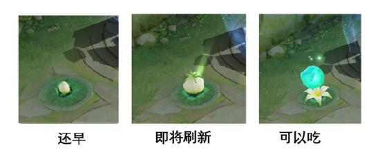 【赛季前瞻】王者荣耀S25赛季内容抢先看！
