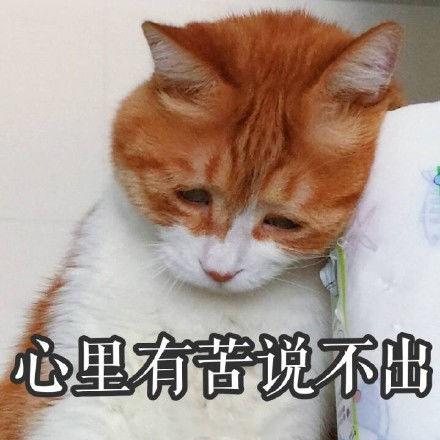 虽然游戏拉胯，动画气人，但周边却很香，《宝可梦》近年来到底都有着怎样让老粉丝“血压升高”的骚操作