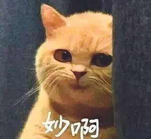 《瓶子先生和他的梦想》鉴赏：假如王家卫做了一款独立游戏...