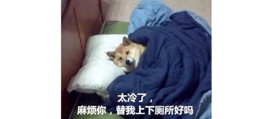 这么冷的天，怎么玩游戏才能做到不冷？