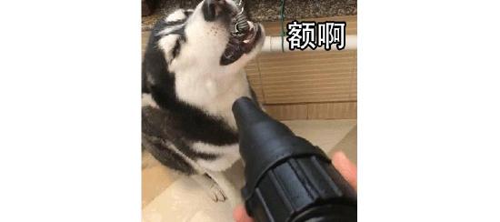 这么冷的天，怎么玩游戏才能做到不冷？
