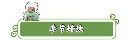 【攻略创作】潜海季☞1.23（每日任务 大蜡烛 季节蜡烛）