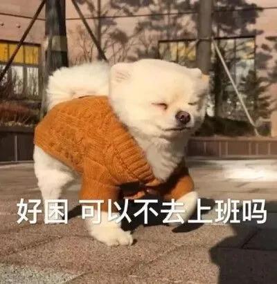 为了拯救年轻人睡眠不足的现象，日本厂商居然做了一款这样的游戏？