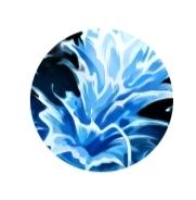 【深渊泰坦】泰坦新出装思路,让你成为新一任的上单霸主